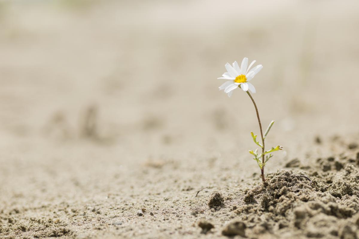 rischio desertificazione in Italia